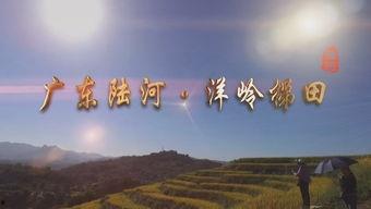 陆河新闻爆料事件最新进展,最新进展揭示惊人内幕 第3张 陆河新闻爆料事件最新进展,最新进展揭示惊人内幕 第3张